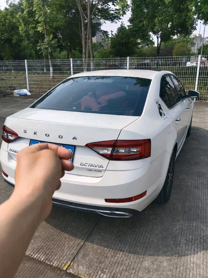 2019 Skoda Octavia 1.2T 116HP L4 7DCT,autocango,china used car exporter,china ev exporter,chinese used car exporter,chinese used ev exporter