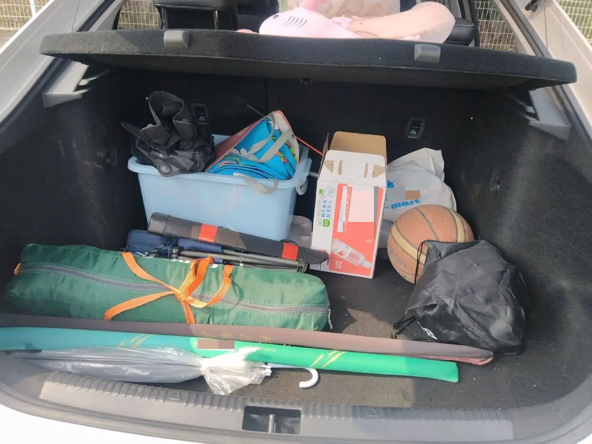 2019 Skoda Octavia 1.2T 116HP L4 7DCT,autocango,china used car exporter,china ev exporter,chinese used car exporter,chinese used ev exporter