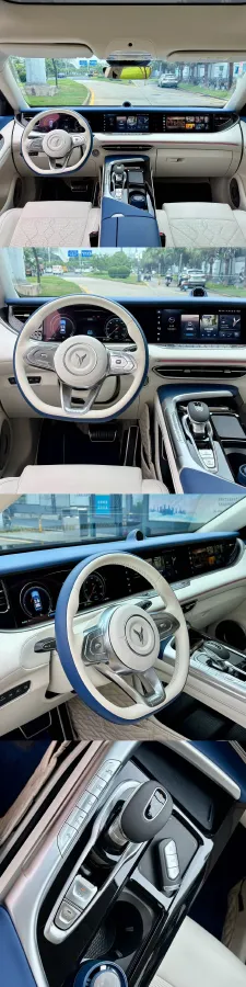 2021 Voyah FREE Range Extended 109HP REEV 33KWH,autocango,china used car exporter,china ev exporter,chinese used car exporter,chinese used ev exporter