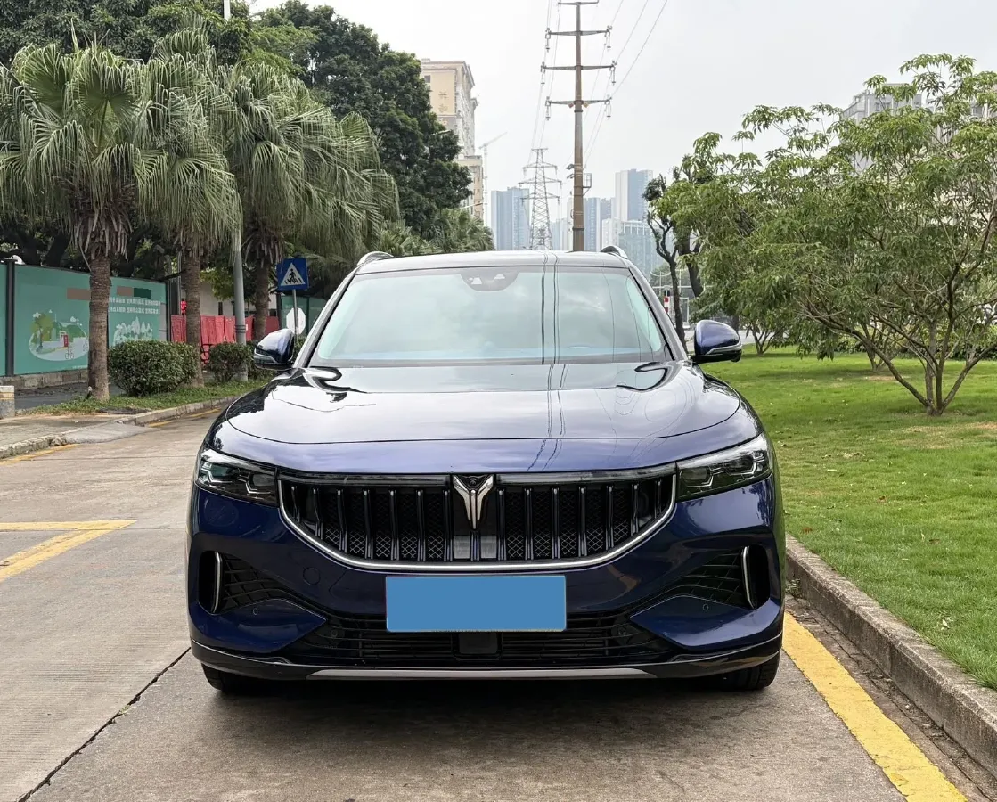 2021 Voyah FREE Range Extended 109HP REEV 33KWH,autocango,china used car exporter,china ev exporter,chinese used car exporter,chinese used ev exporter