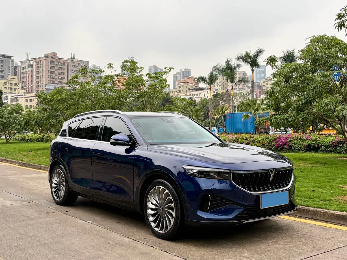 2021 Voyah FREE Range Extended 109HP REEV 33KWH,autocango,china used car exporter,china ev exporter,chinese used car exporter,chinese used ev exporter