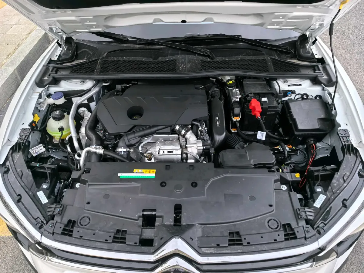 2023 Foton TuYaNuo 2.0T 150HP L4 6AT,autocango,china used car exporter,china ev exporter,chinese used car exporter,chinese used ev exporter