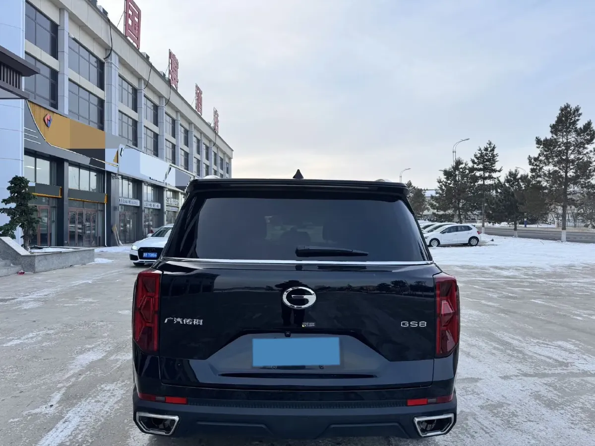 2024 GAC Trumpchi GS8 2.0T 252HP L4 8AT,autocango,china used car exporter,china ev exporter,chinese used car exporter,chinese used ev exporter