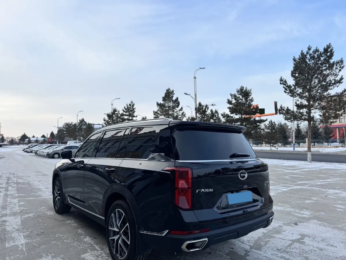 2024 GAC Trumpchi GS8 2.0T 252HP L4 8AT,autocango,china used car exporter,china ev exporter,chinese used car exporter,chinese used ev exporter