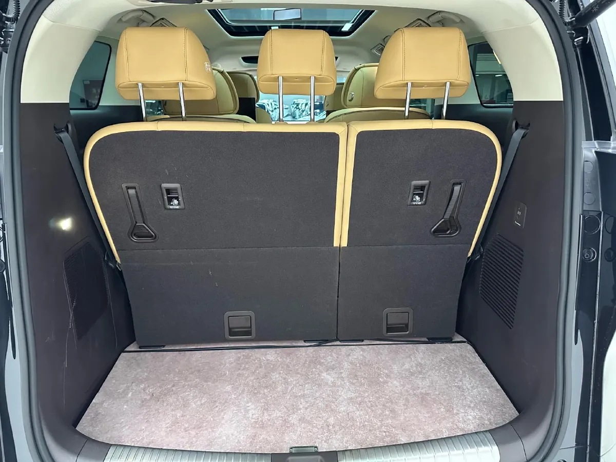 2024 Denza D9 1.5T 139HP L4 E-CVT PHEV 40KWH,autocango,china used car exporter,china ev exporter,chinese used car exporter,chinese used ev exporter