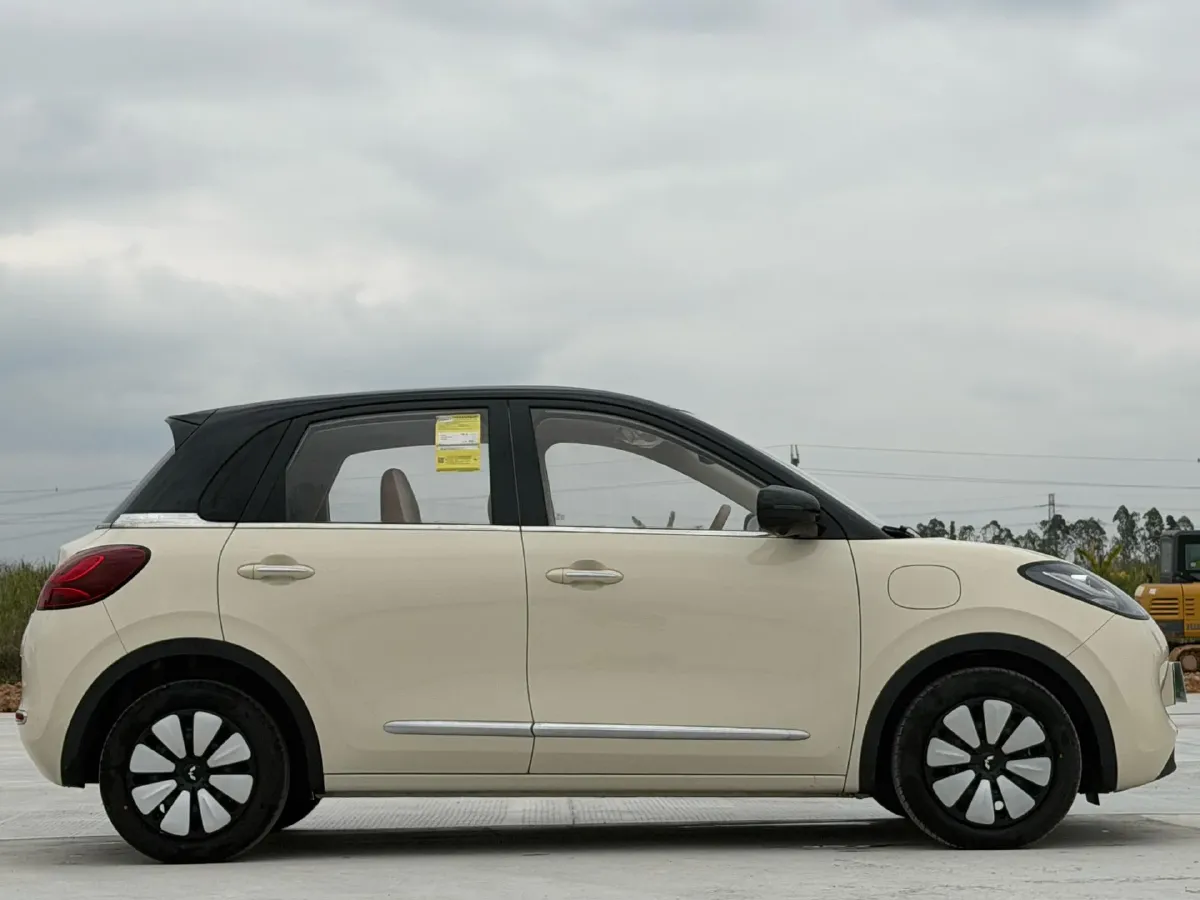 2025 WuLing BinGuo BEV,autocango,china used car exporter,china ev exporter,chinese used car exporter,chinese used ev exporter