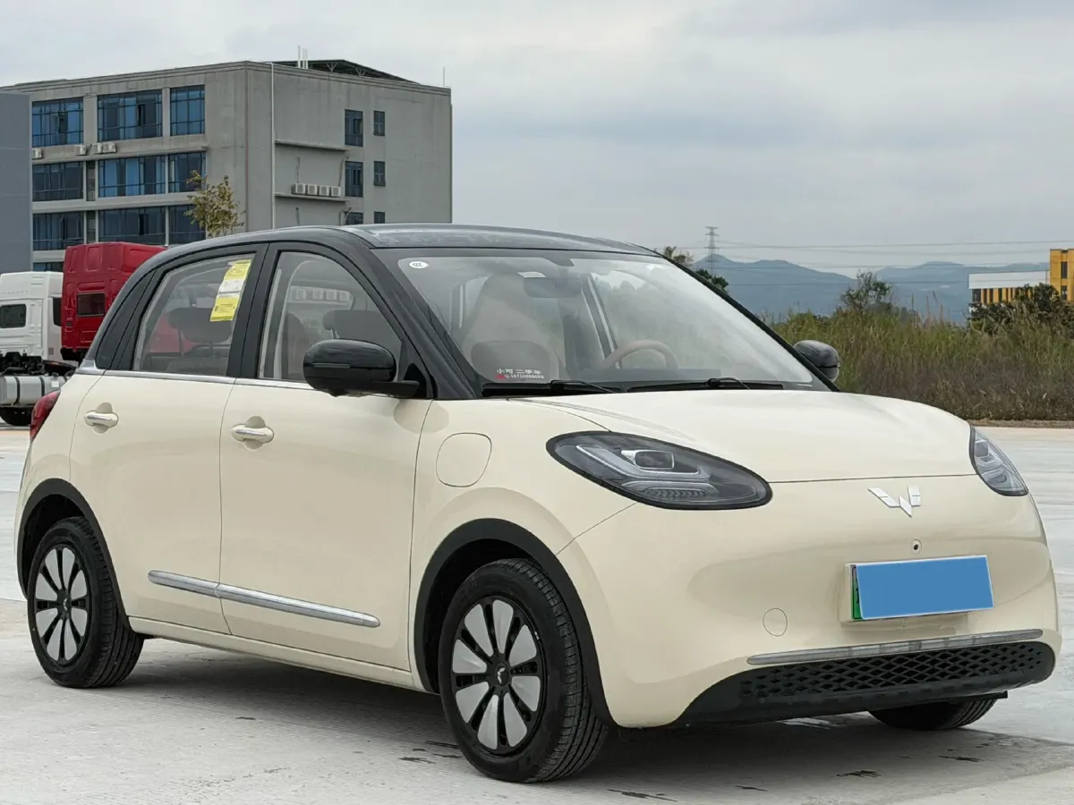 2025 WuLing BinGuo BEV,autocango,china used car exporter,china ev exporter,chinese used car exporter,chinese used ev exporter