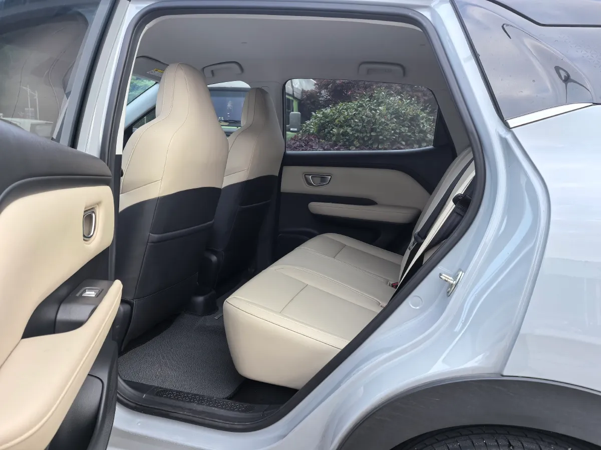 2024 WuLing BinGuoPLUS BEV 31.9KWH,autocango,china used car exporter,china ev exporter,chinese used car exporter,chinese used ev exporter