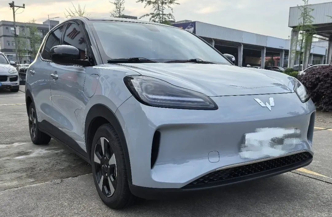 2024 WuLing BinGuoPLUS BEV 31.9KWH,autocango,china used car exporter,china ev exporter,chinese used car exporter,chinese used ev exporter