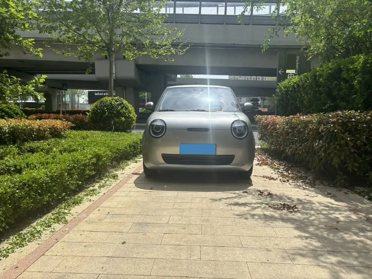 2024 ChangAn QiYuan Lumin BEV 17.65KWH,autocango,china used car exporter,china ev exporter,chinese used car exporter,chinese used ev exporter