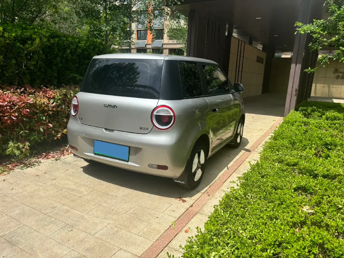 2024 ChangAn QiYuan Lumin BEV 17.65KWH,autocango,china used car exporter,china ev exporter,chinese used car exporter,chinese used ev exporter