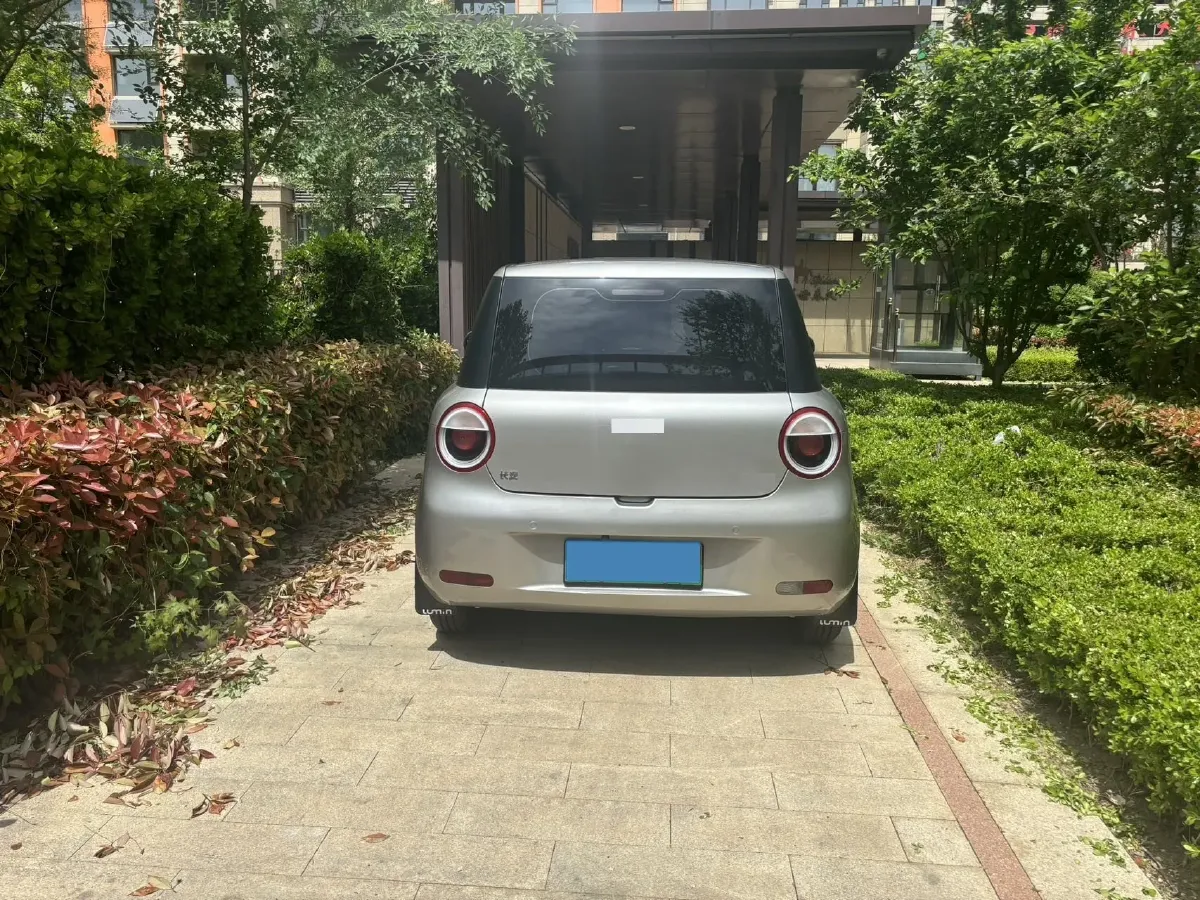 2024 ChangAn QiYuan Lumin BEV 17.65KWH,autocango,china used car exporter,china ev exporter,chinese used car exporter,chinese used ev exporter