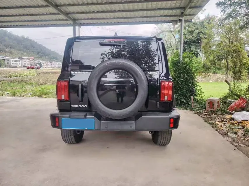 2024 Tank 300 2.0T 227HP L4 8AT,autocango,china used car exporter,china ev exporter,chinese used car exporter,chinese used ev exporter