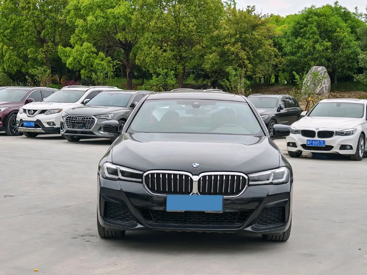 2021 BMW 5 Series 2.0T 184HP L4 8AT PHEV 17.7KWH,autocango,china used car exporter,china ev exporter,chinese used car exporter,chinese used ev exporter