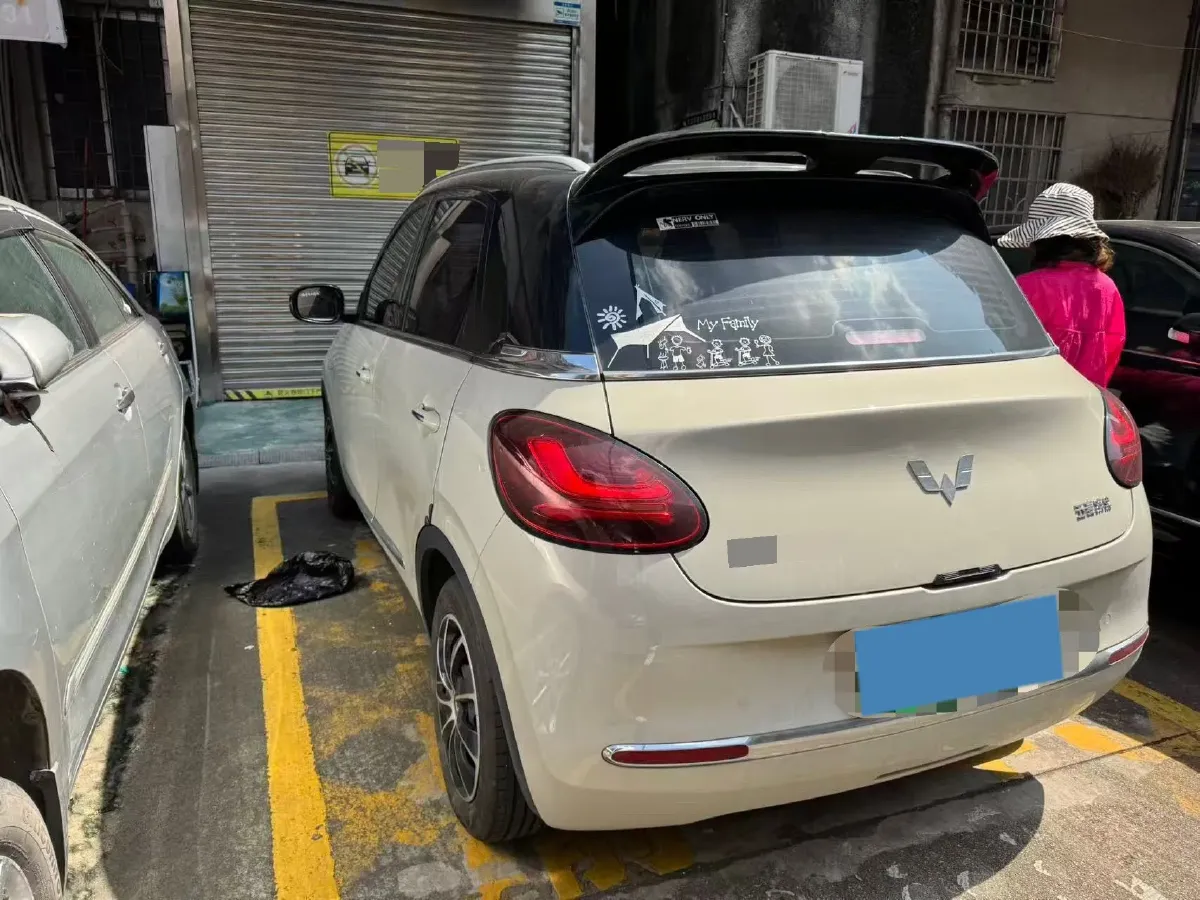 2023 WuLing BinGuo BEV 37.9KWH,autocango,china used car exporter,china ev exporter,chinese used car exporter,chinese used ev exporter