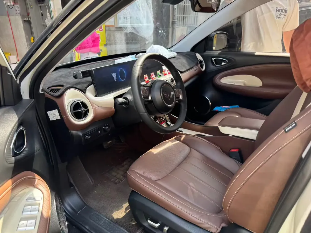 2023 WuLing BinGuo BEV 37.9KWH,autocango,china used car exporter,china ev exporter,chinese used car exporter,chinese used ev exporter