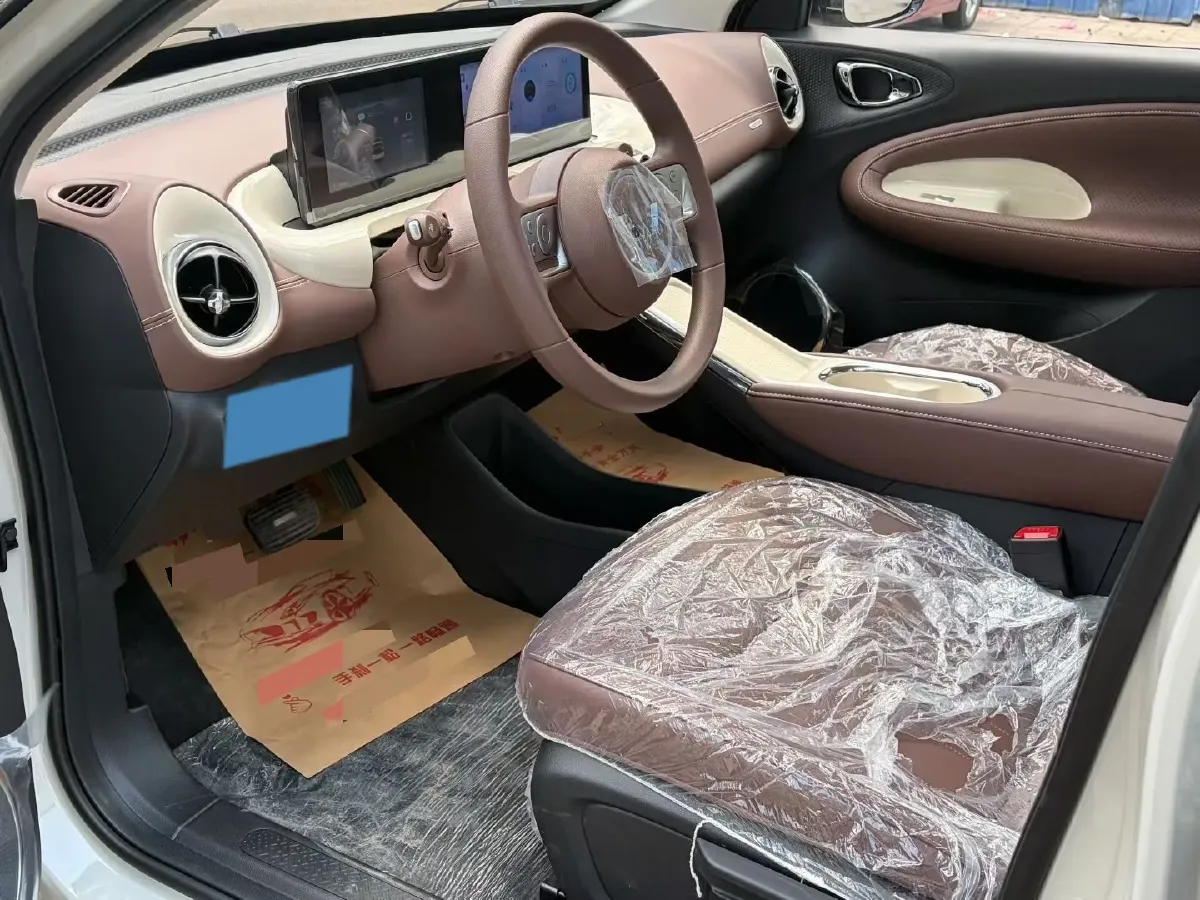 2025 WuLing BinGuo BEV,autocango,china used car exporter,china ev exporter,chinese used car exporter,chinese used ev exporter