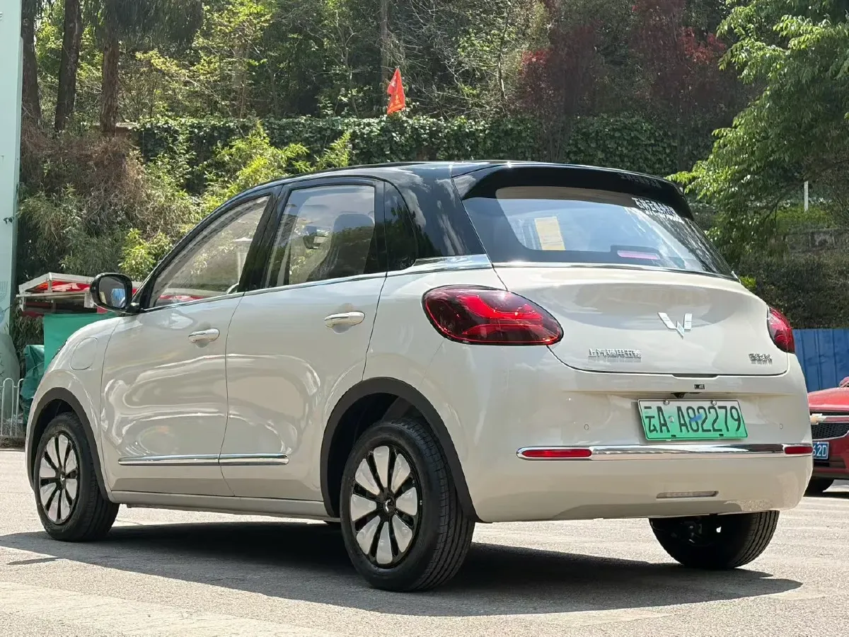 2025 WuLing BinGuo BEV,autocango,china used car exporter,china ev exporter,chinese used car exporter,chinese used ev exporter