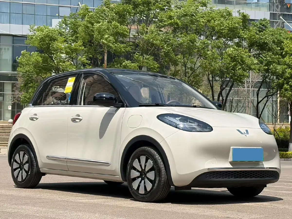 2025 WuLing BinGuo BEV,autocango,china used car exporter,china ev exporter,chinese used car exporter,chinese used ev exporter