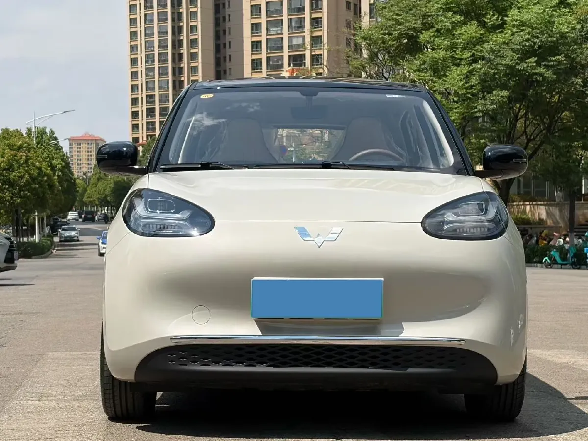 2025 WuLing BinGuo BEV,autocango,china used car exporter,china ev exporter,chinese used car exporter,chinese used ev exporter