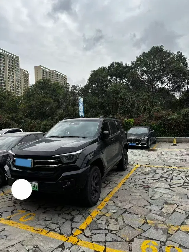 2024 Tank 400 2.0T 252HP L4 9AT PHEV 36.7/37.1KWH,autocango,china used car exporter,china ev exporter,chinese used car exporter,chinese used ev exporter