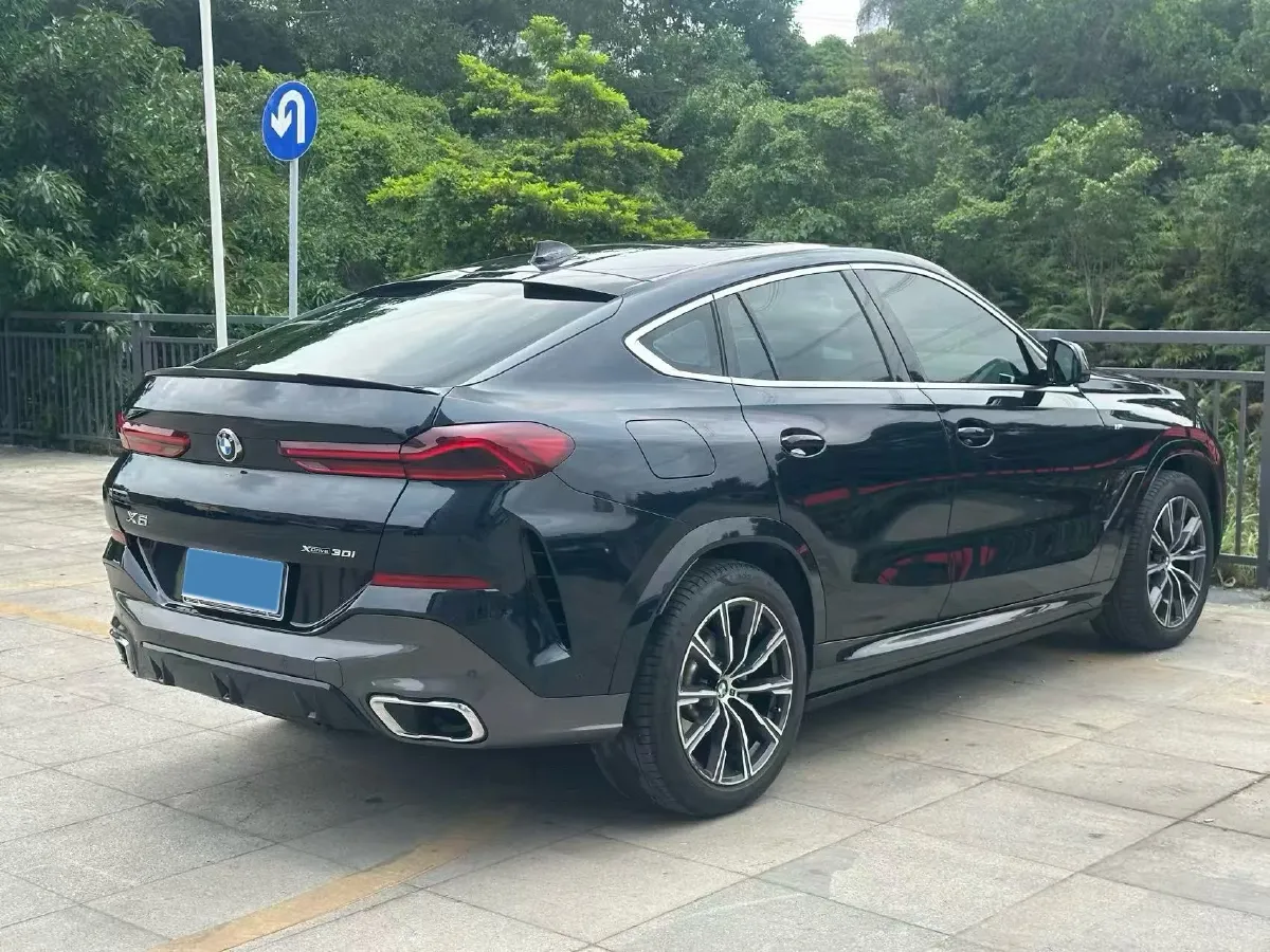 2022 BMW X6 2.0T 265HP L4 8AT,autocango,china used car exporter,china ev exporter,chinese used car exporter,chinese used ev exporter