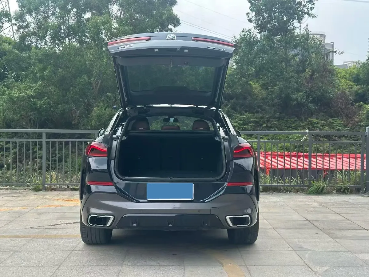 2022 BMW X6 2.0T 265HP L4 8AT,autocango,china used car exporter,china ev exporter,chinese used car exporter,chinese used ev exporter