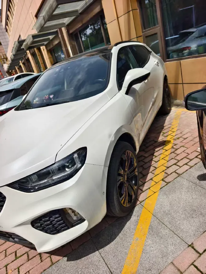 2019 WEY VV5 2.0T 197HP L4 7DCT,autocango,china used car exporter,china ev exporter,chinese used car exporter,chinese used ev exporter
