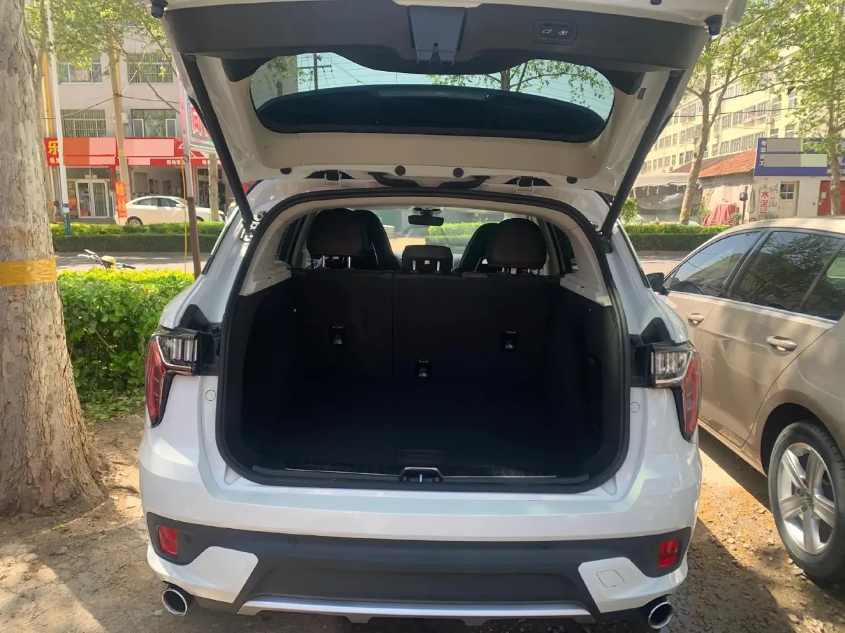 2017 Foton Sauvana 2.0T 218HP L4 6AT,autocango,china used car exporter,china ev exporter,chinese used car exporter,chinese used ev exporter