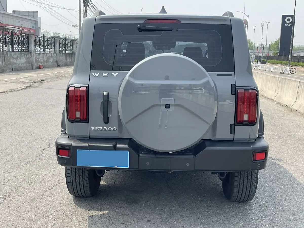 2021 Tank 300 2.0T 227HP L4 8AT,autocango,china used car exporter,china ev exporter,chinese used car exporter,chinese used ev exporter