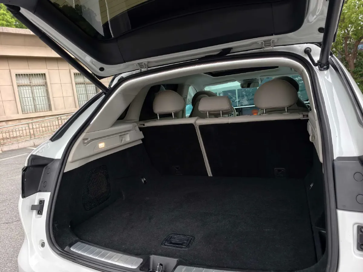 2021 Leapmotor C11 BEV 78.54KWH,autocango,china used car exporter,china ev exporter,chinese used car exporter,chinese used ev exporter