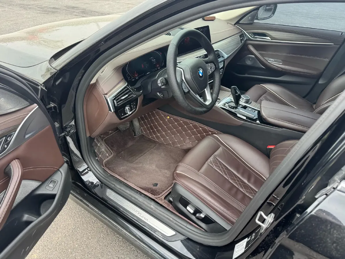 2020 BMW 5 Series 2.0T 252HP L4 8AT,autocango,china used car exporter,china ev exporter,chinese used car exporter,chinese used ev exporter