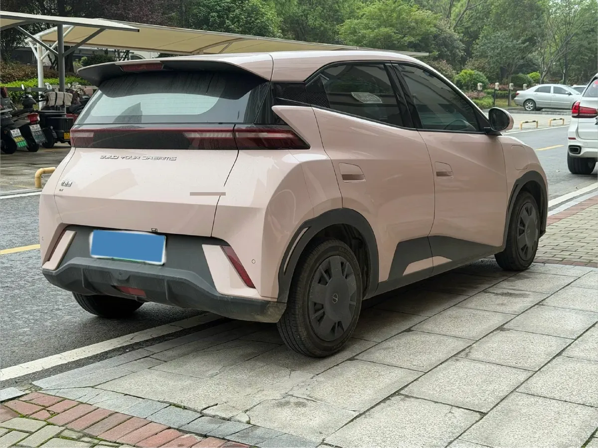 2024 BYD Seagull BEV 30.08KWH,autocango,china used car exporter,china ev exporter,chinese used car exporter,chinese used ev exporter