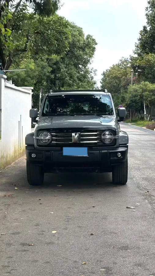 2024 Tank 300 2.0T 252HP L4 9AT,autocango,china used car exporter,china ev exporter,chinese used car exporter,chinese used ev exporter