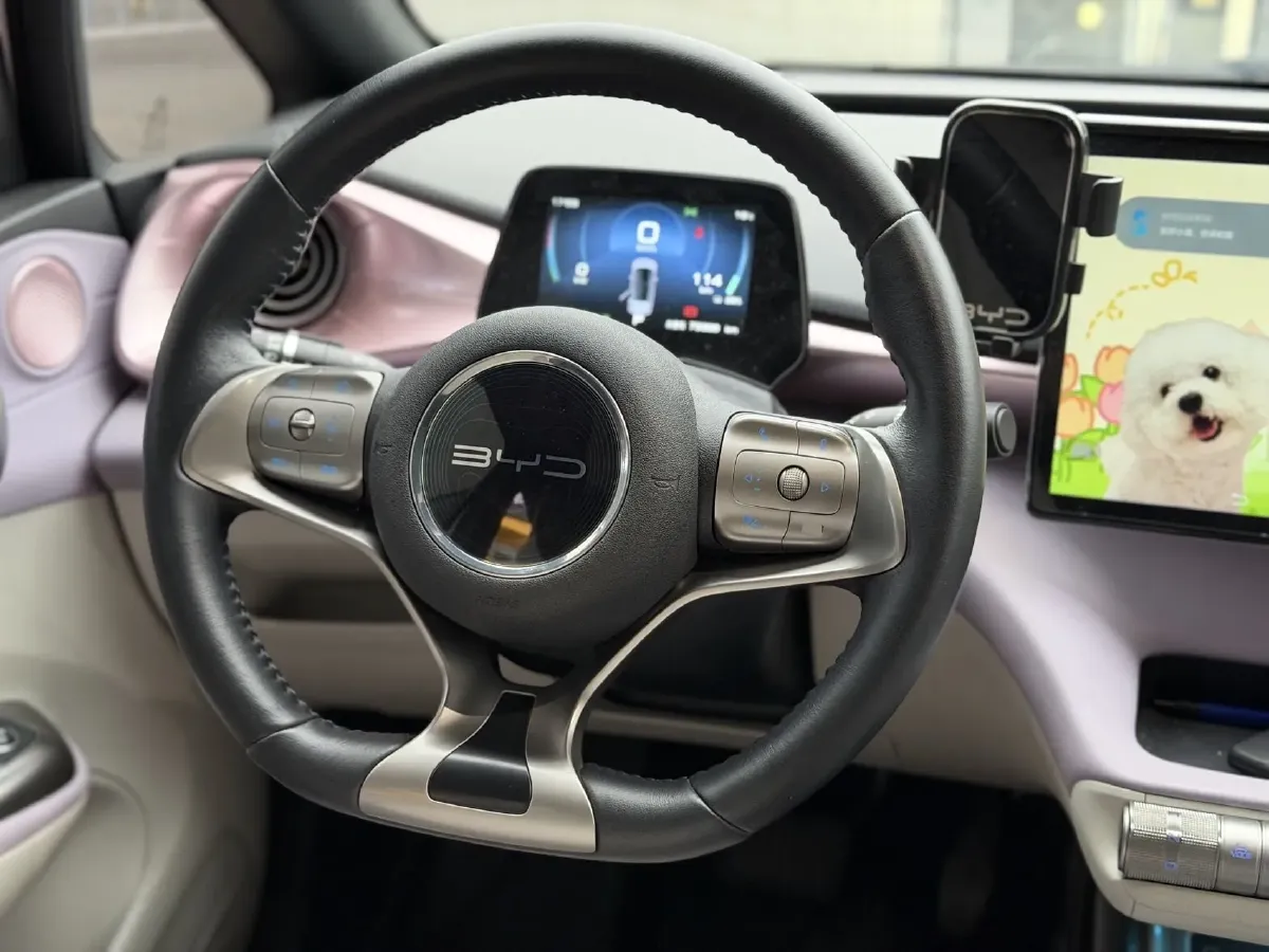 2021 BYD Yuan Pro BEV 50.1KWH,autocango,china used car exporter,china ev exporter,chinese used car exporter,chinese used ev exporter