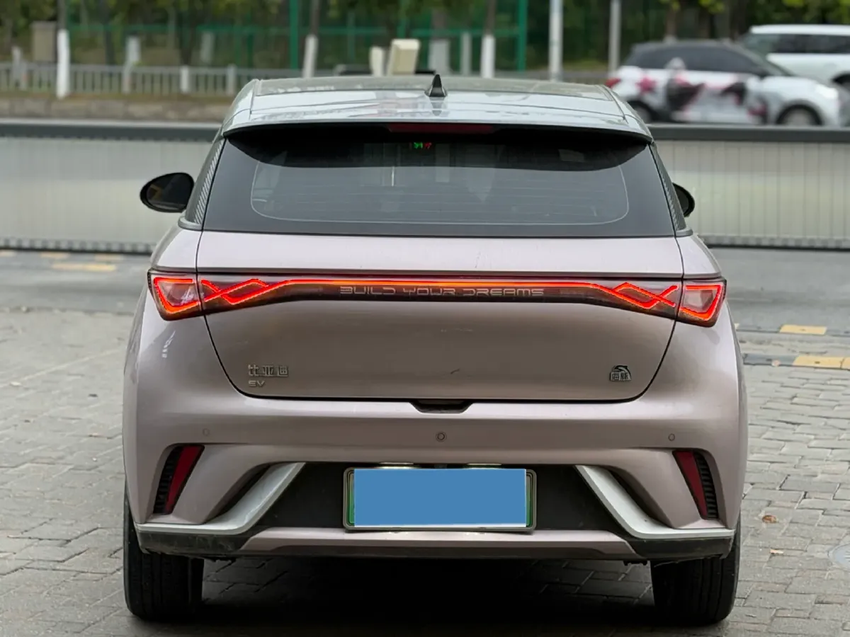 2021 BYD Yuan Pro BEV 50.1KWH,autocango,china used car exporter,china ev exporter,chinese used car exporter,chinese used ev exporter