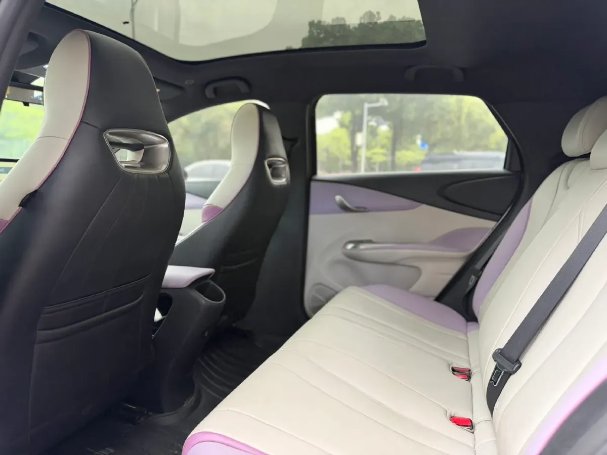 2021 BYD Yuan Pro BEV 50.1KWH,autocango,china used car exporter,china ev exporter,chinese used car exporter,chinese used ev exporter