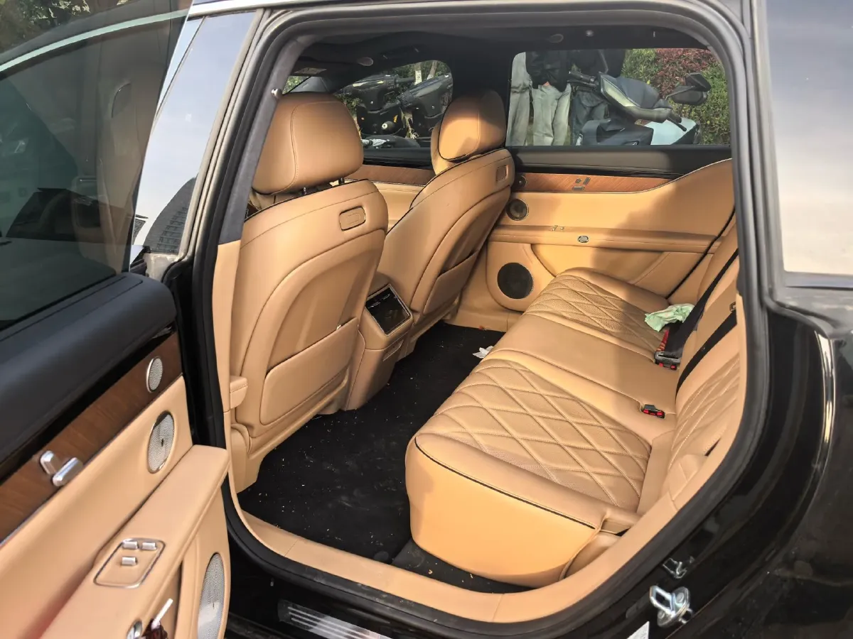 2025 HIMA Stelato S9T BEV,autocango,china used car exporter,china ev exporter,chinese used car exporter,chinese used ev exporter