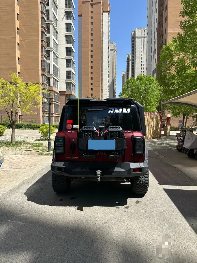 2021 Tank 300 2.0T 227HP L4 8AT,autocango,china used car exporter,china ev exporter,chinese used car exporter,chinese used ev exporter