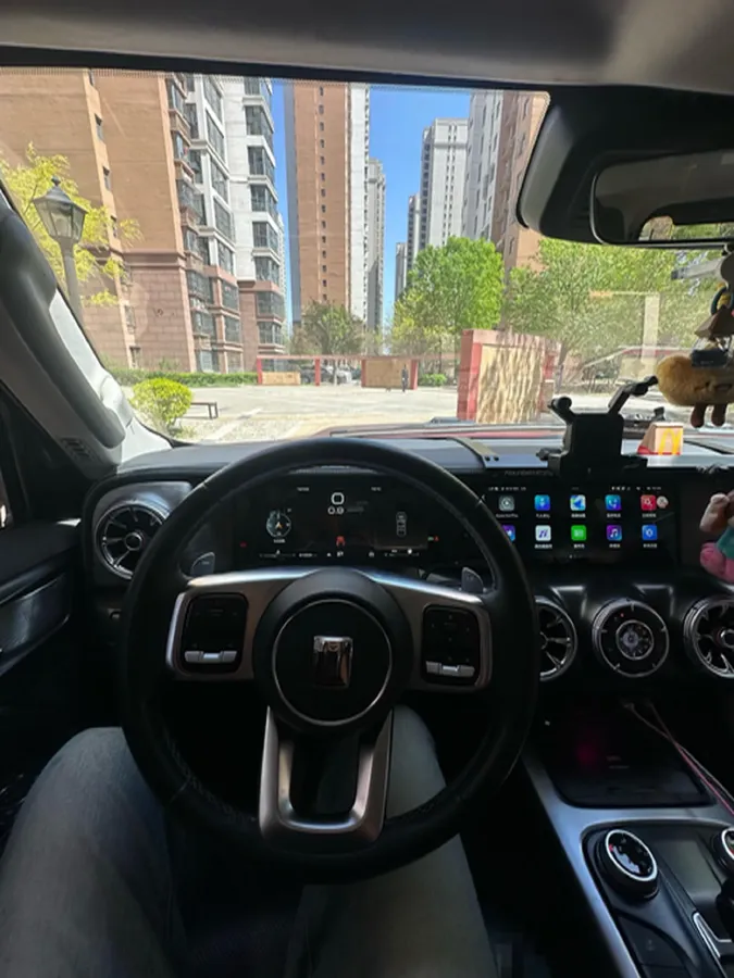 2021 Tank 300 2.0T 227HP L4 8AT,autocango,china used car exporter,china ev exporter,chinese used car exporter,chinese used ev exporter