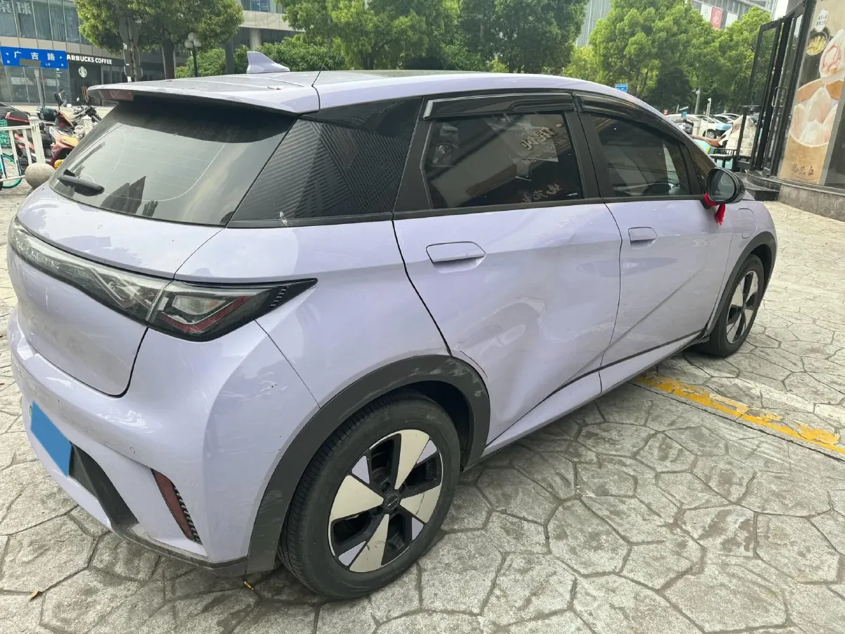 2023 BYD Dolphin BEV 44.928KWH,autocango,china used car exporter,china ev exporter,chinese used car exporter,chinese used ev exporter