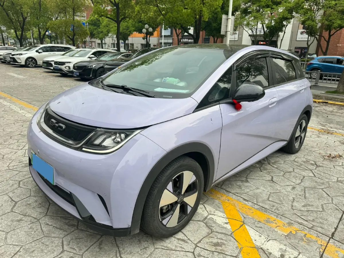 2023 BYD Dolphin BEV 44.928KWH,autocango,china used car exporter,china ev exporter,chinese used car exporter,chinese used ev exporter