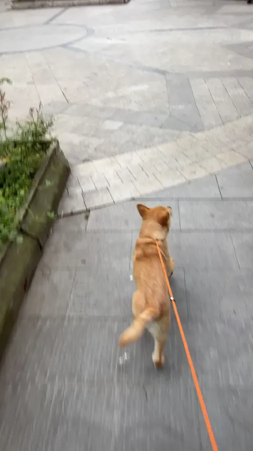 2024 DongFeng eπ eπ007 REEV 105HP REEV 28.4KWH,autocango,china used car exporter,china ev exporter,chinese used car exporter,chinese used ev exporter