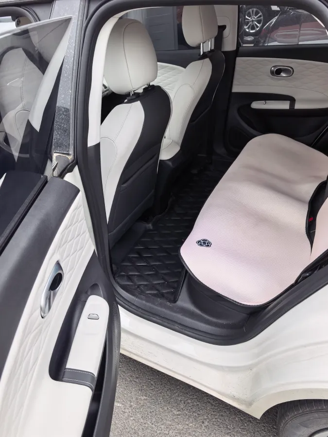 2025 DongFeng Nammi 01 BEV,autocango,china used car exporter,china ev exporter,chinese used car exporter,chinese used ev exporter