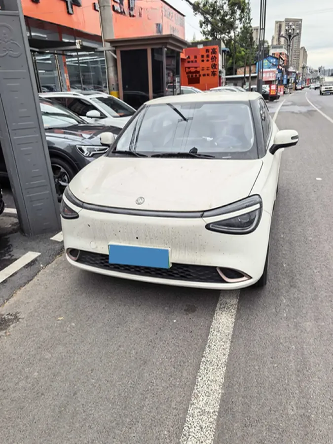 2025 DongFeng Nammi 01 BEV,autocango,china used car exporter,china ev exporter,chinese used car exporter,chinese used ev exporter