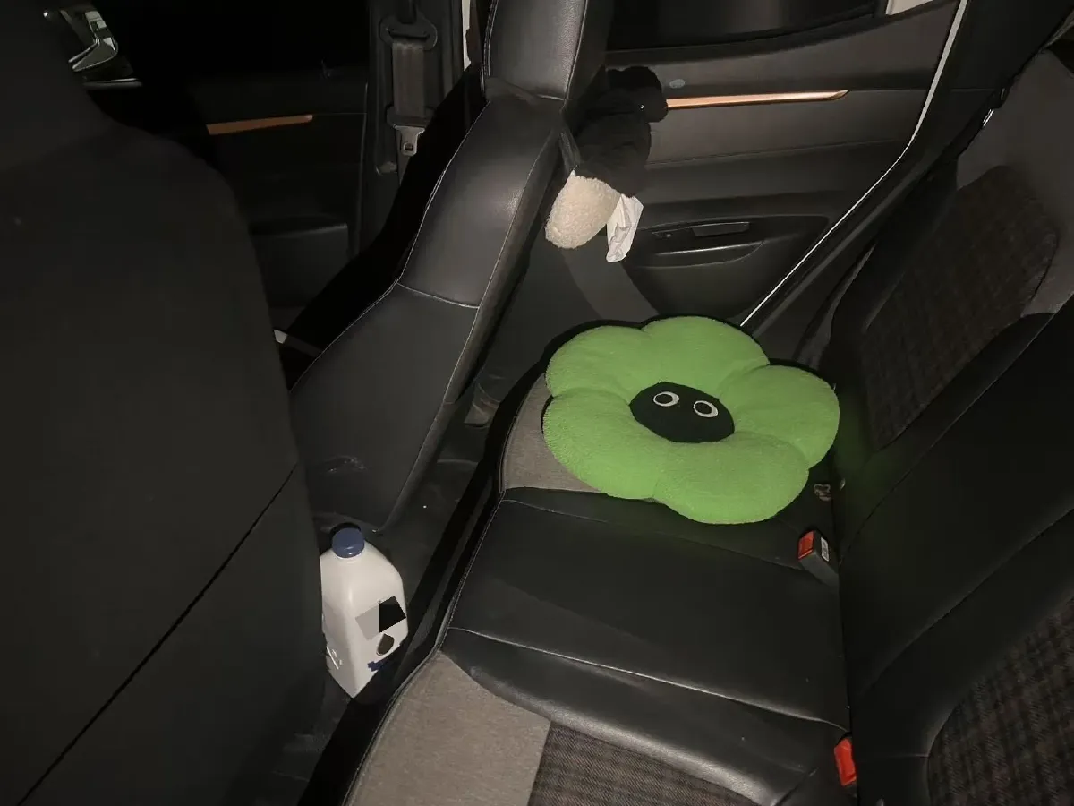 2021 DongFeng eπ Nami EX1 BEV 26.8KWH,autocango,china used car exporter,china ev exporter,chinese used car exporter,chinese used ev exporter