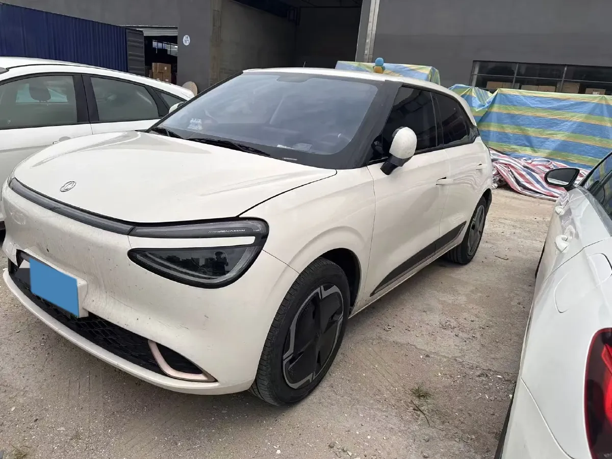 2024 DongFeng eπ 01 BEV 31.45KWH,autocango,china used car exporter,china ev exporter,chinese used car exporter,chinese used ev exporter