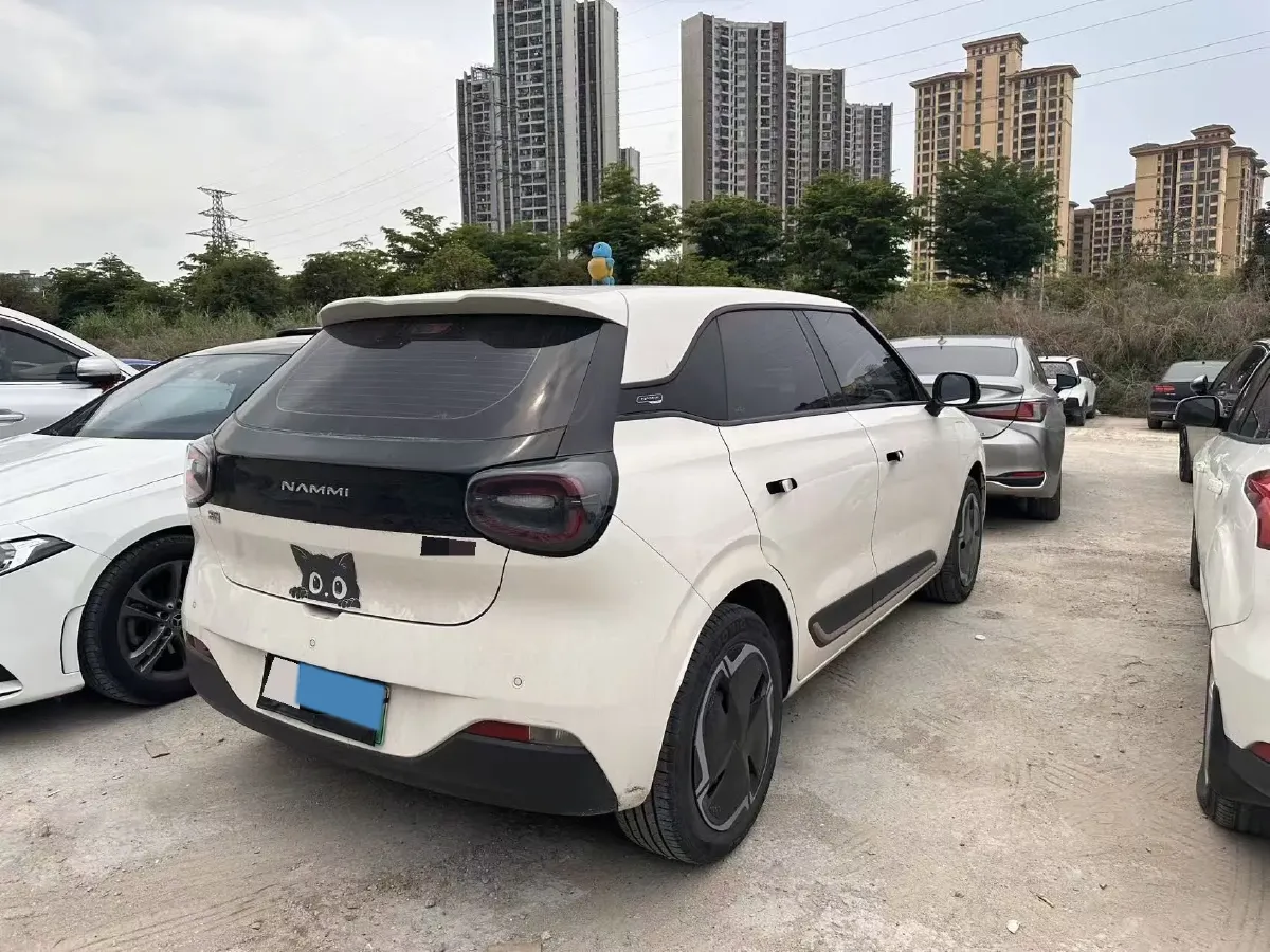 2024 DongFeng eπ 01 BEV 31.45KWH,autocango,china used car exporter,china ev exporter,chinese used car exporter,chinese used ev exporter