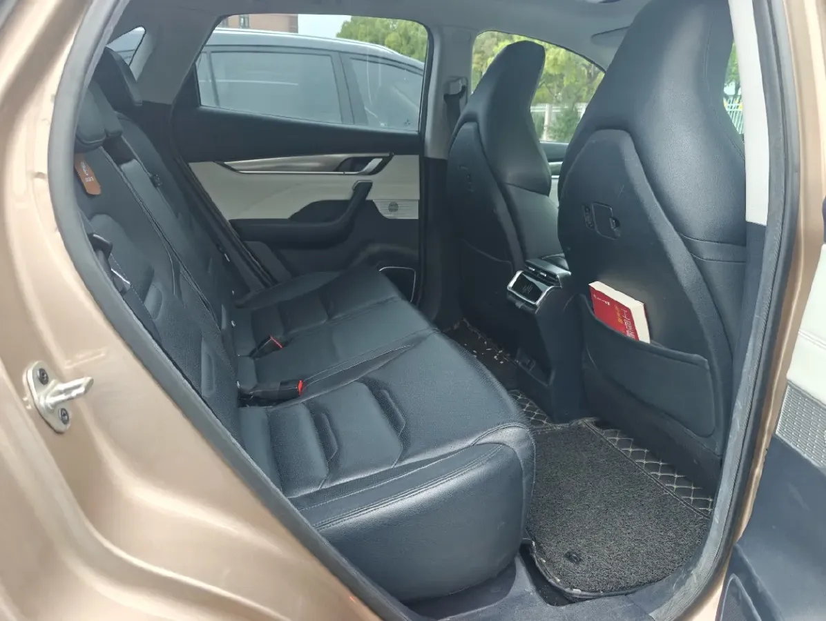 2018 Weltmeister EX5 BEV 52.56KWH,autocango,china used car exporter,china ev exporter,chinese used car exporter,chinese used ev exporter