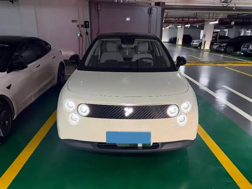 2025 Firefly Firefly BEV,autocango,china used car exporter,china ev exporter,chinese used car exporter,chinese used ev exporter